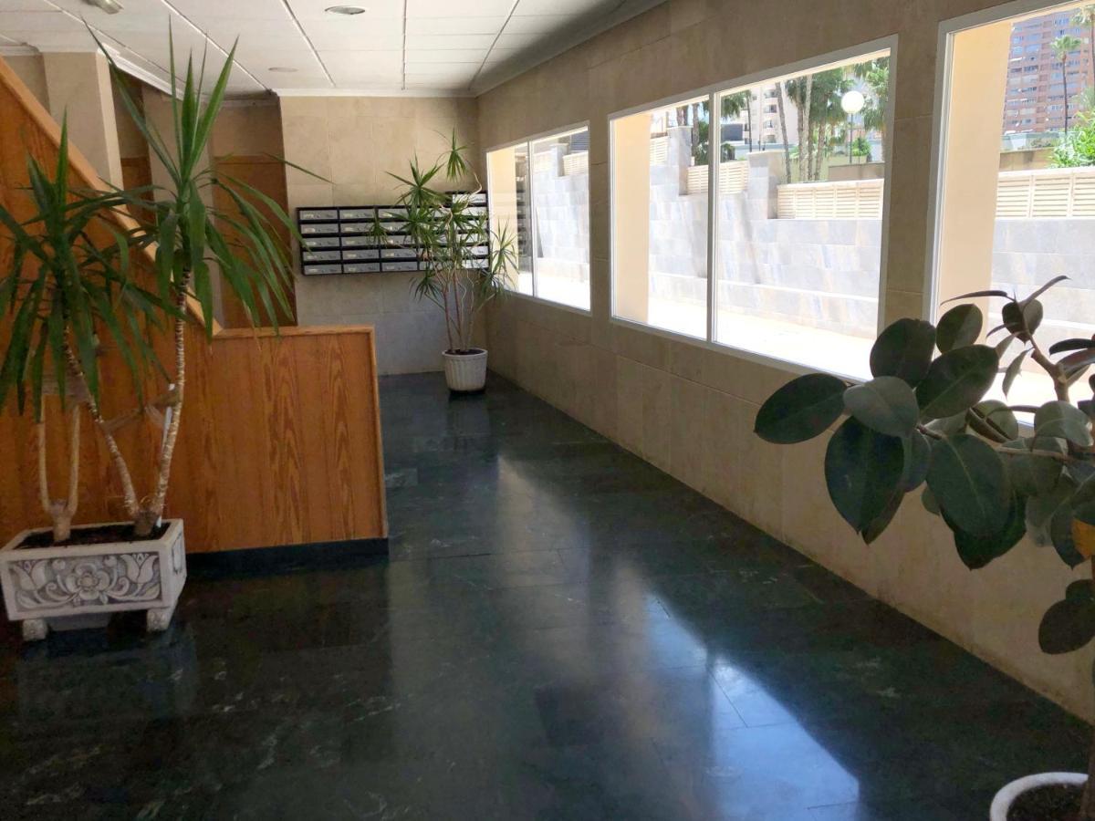 Holiday apt Niza 10B Benidorm Dış mekan fotoğraf